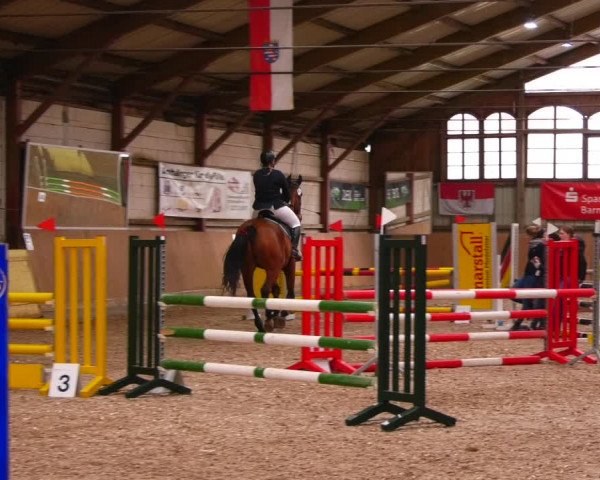 Reitturnier Elisenau 2023