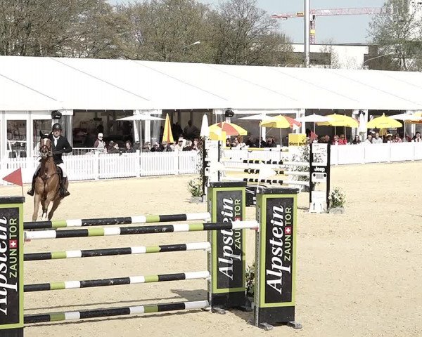 Reitturnier Amriswil 2023