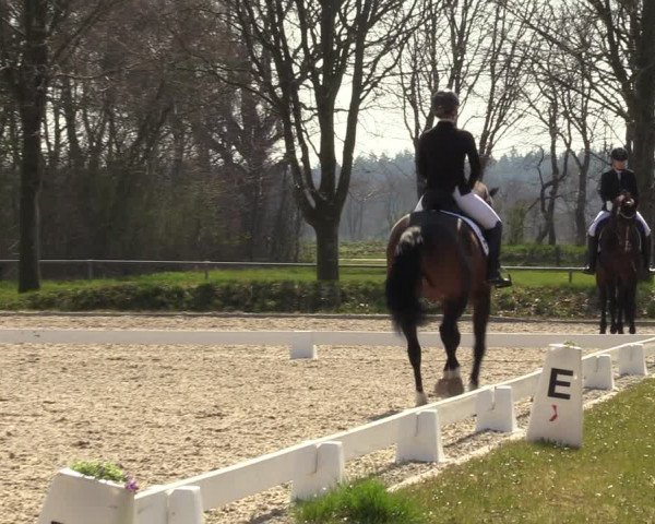 Reitturnier Elmlohe 2023