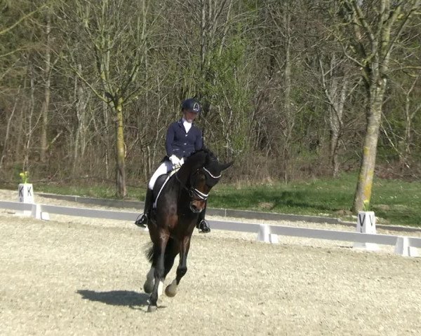 Reitturnier Elmlohe 2023