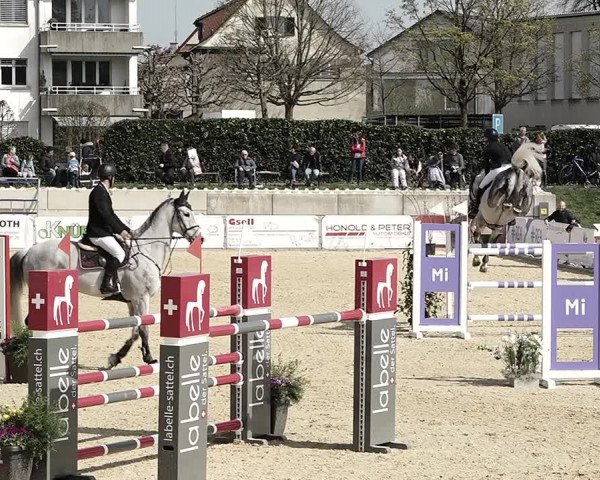 Reitturnier Amriswil 2023