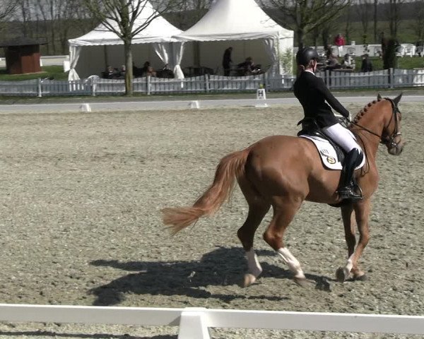 Reitturnier Elmlohe 2023