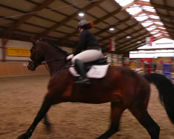 Reitturnier Elisenau 2023