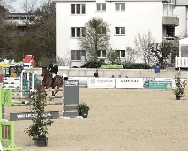 Reitturnier Amriswil 2023