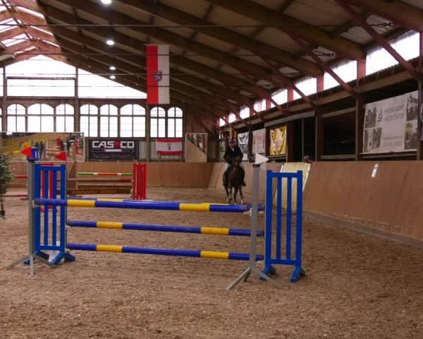 Reitturnier Elisenau 2023