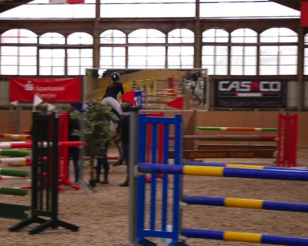 Reitturnier Elisenau 2023