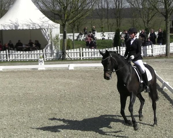 Reitturnier Elmlohe 2023