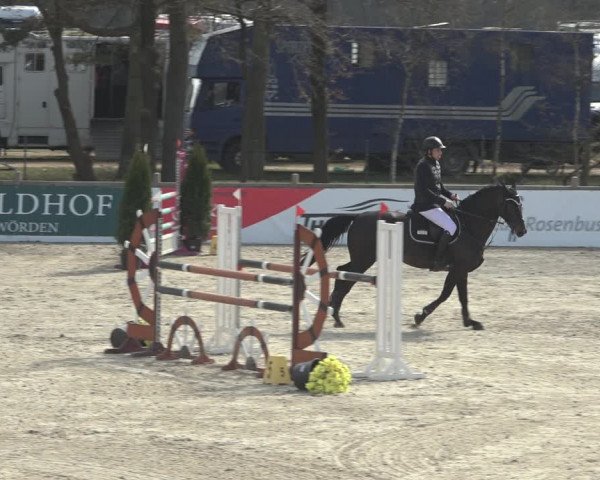 Reitturnier Westergellersen 2023