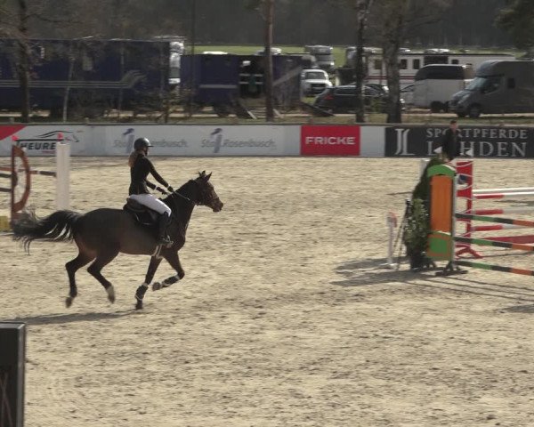 Reitturnier Westergellersen 2023
