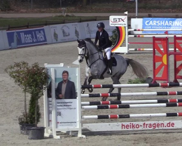 Reitturnier Westergellersen 2023
