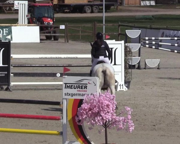Reitturnier Westergellersen 2023