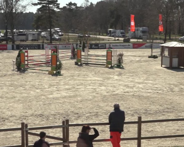 Reitturnier Westergellersen 2023