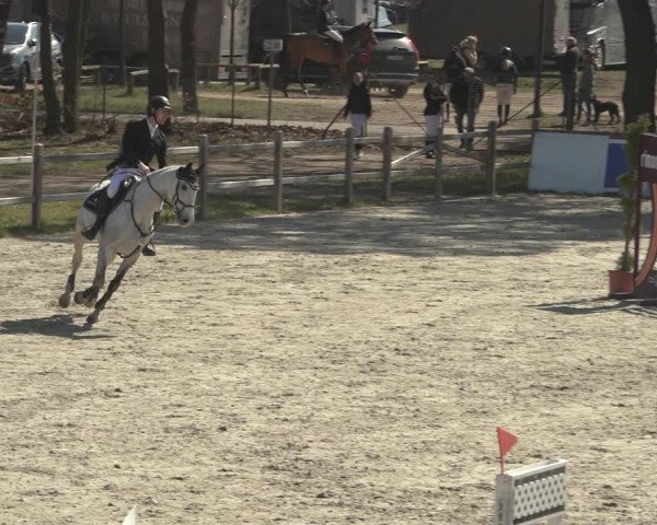 Reitturnier Westergellersen 2023