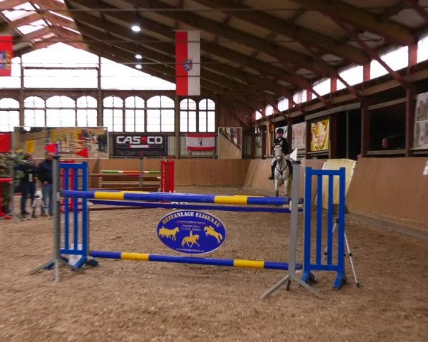 Reitturnier Elisenau 2023