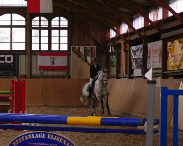 Reitturnier Elisenau 2023