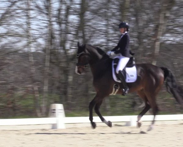 Reitturnier Elmlohe 2023