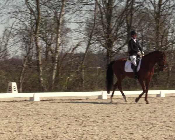 Reitturnier Elmlohe 2023