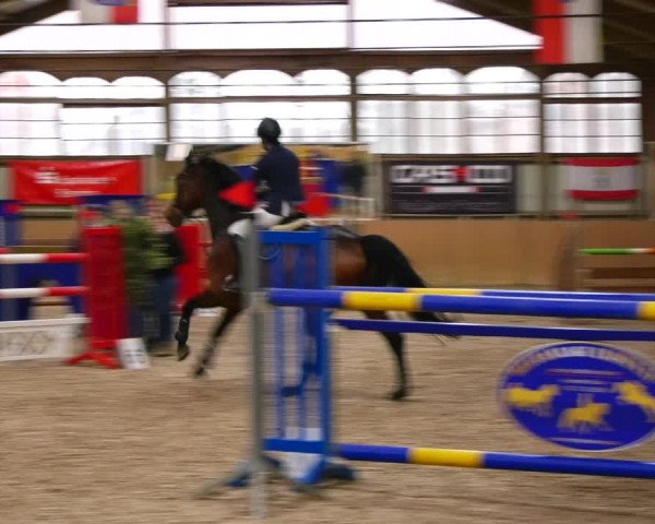 Reitturnier Elisenau 2023