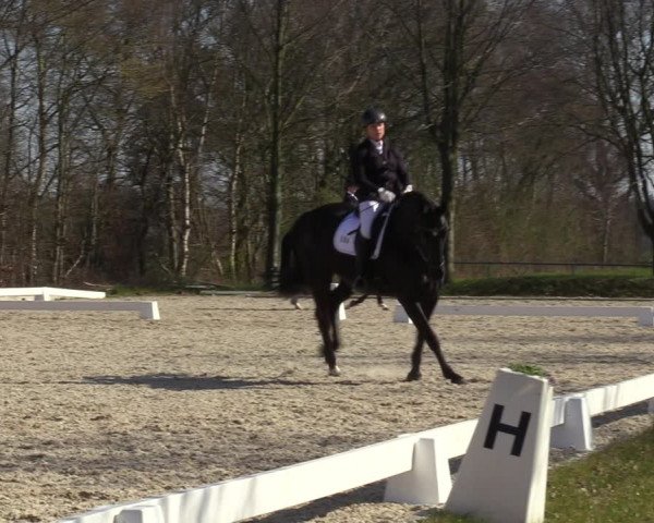 Reitturnier Elmlohe 2023