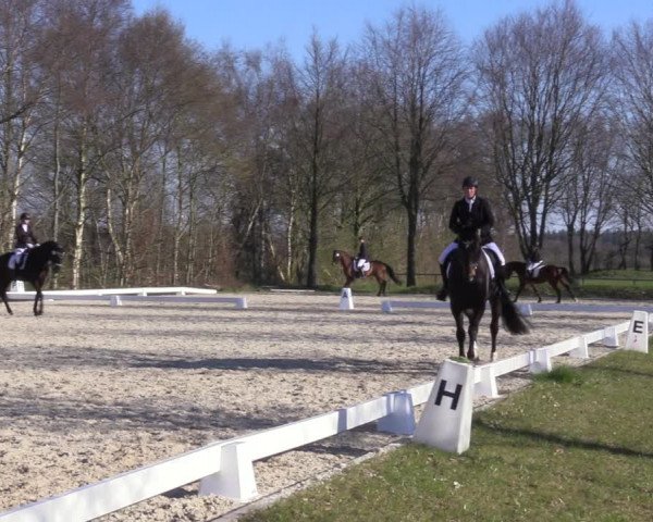 Reitturnier Elmlohe 2023