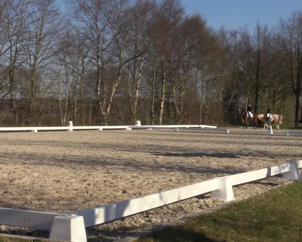Reitturnier Elmlohe 2023