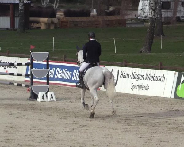 Reitturnier Westergellersen 2023
