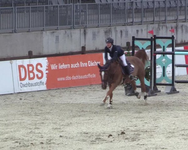 Reitturnier Westergellersen 2023