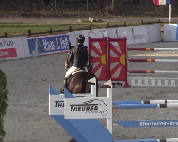 Reitturnier Westergellersen 2023