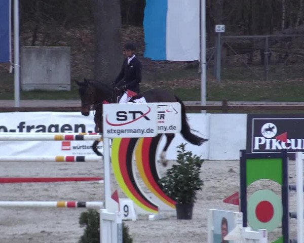 Reitturnier Westergellersen 2023
