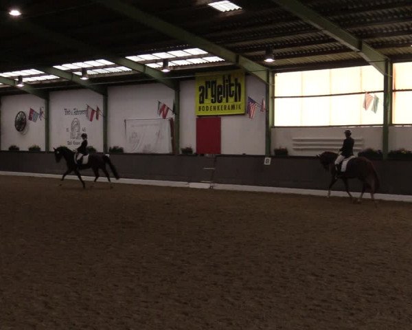 Reitturnier Bad Essen 2021