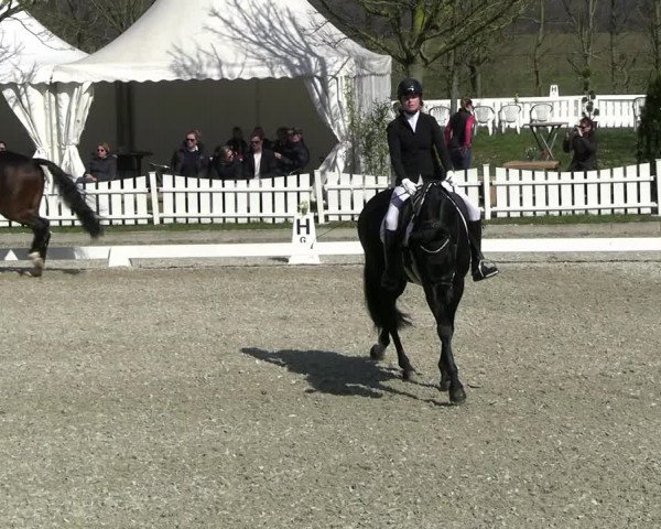 Reitturnier Elmlohe 2023