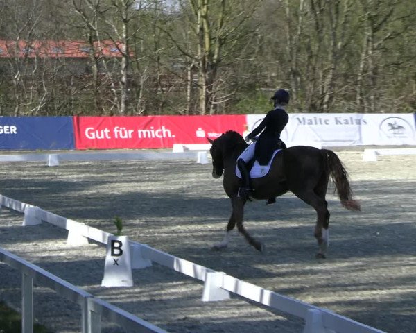 Reitturnier Elmlohe 2023