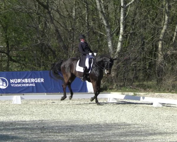 Reitturnier Elmlohe 2023