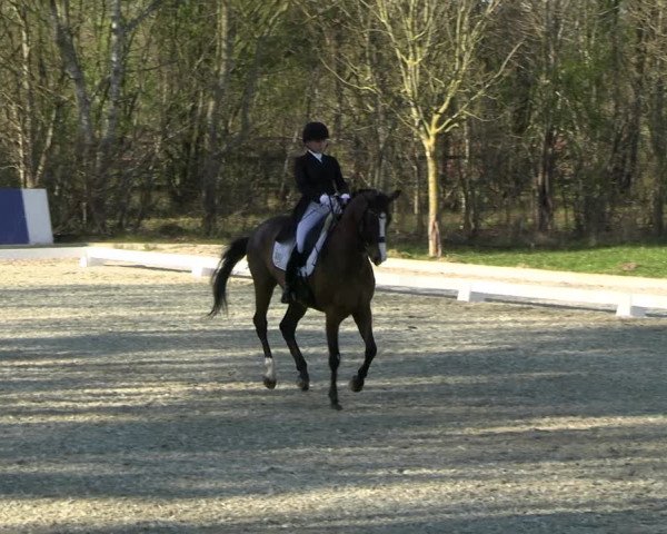 Reitturnier Elmlohe 2023