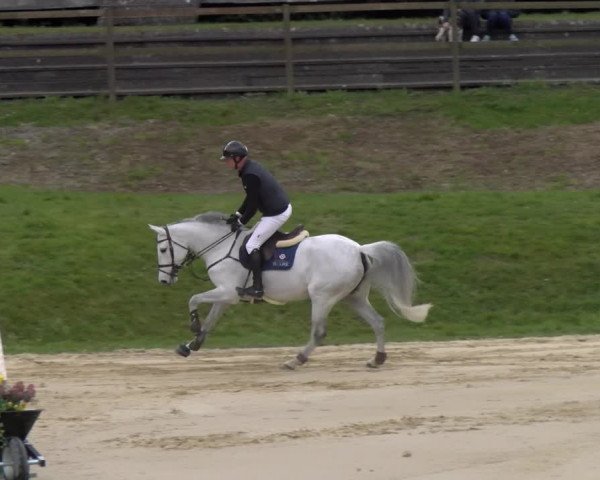 Reitturnier Wädenswil 2023