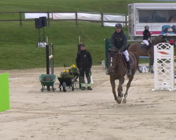 Reitturnier Wädenswil 2023