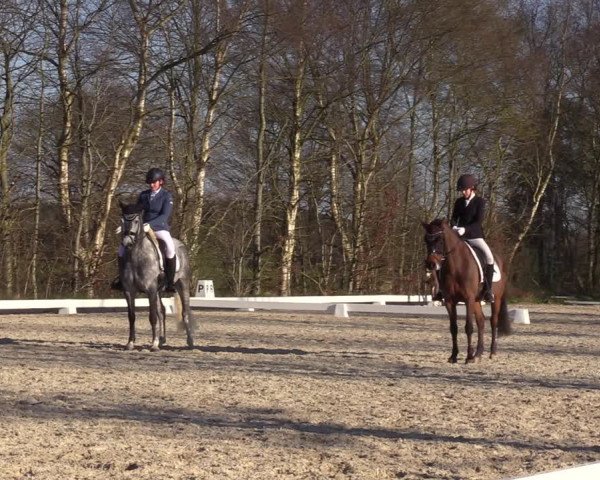 Reitturnier Elmlohe 2023