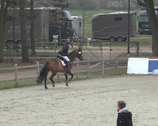 Reitturnier Westergellersen 2023