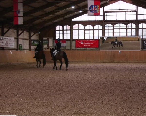 Reitturnier Elisenau 2023