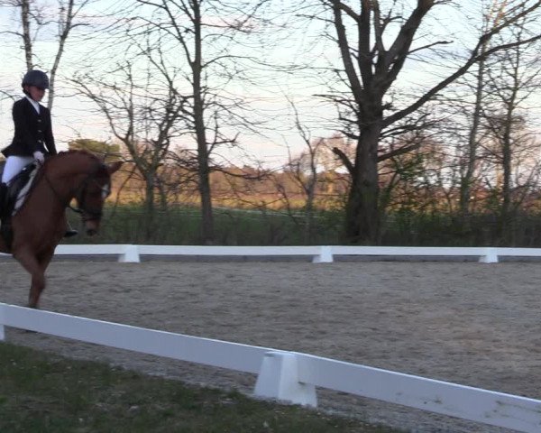 Reitturnier Elmlohe 2023