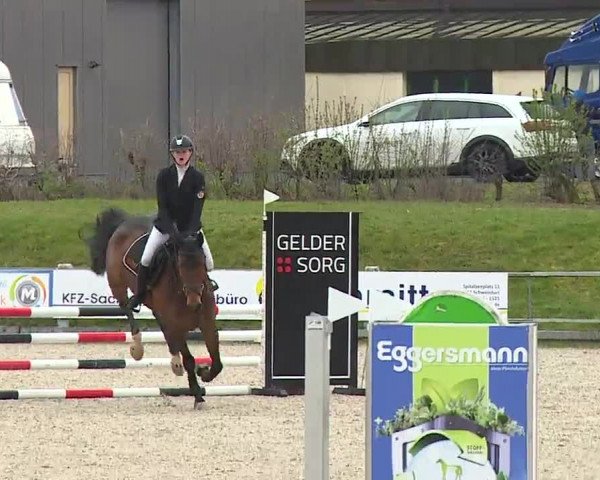 Reitturnier Grafenrheinfeld/Ufr. 2023