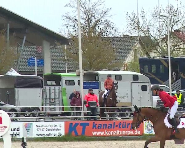 Reitturnier Grafenrheinfeld/Ufr. 2023