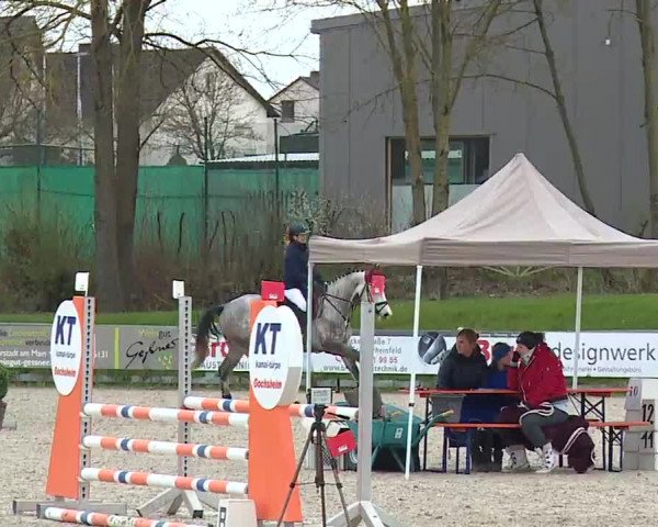 Reitturnier Grafenrheinfeld/Ufr. 2023