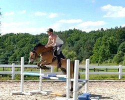 jumper Fueco Bandito (Pony without race description, 2003)