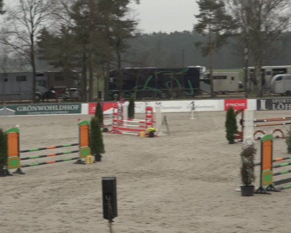 Reitturnier Westergellersen 2023