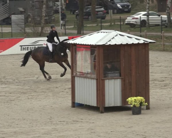 Reitturnier Westergellersen 2023