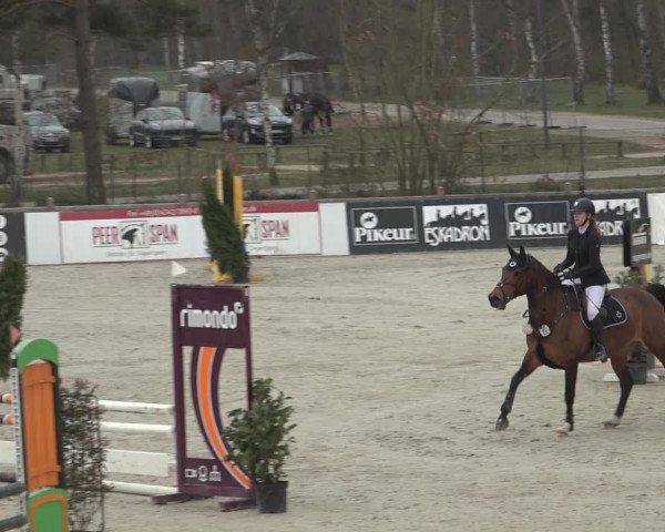 Reitturnier Westergellersen 2023