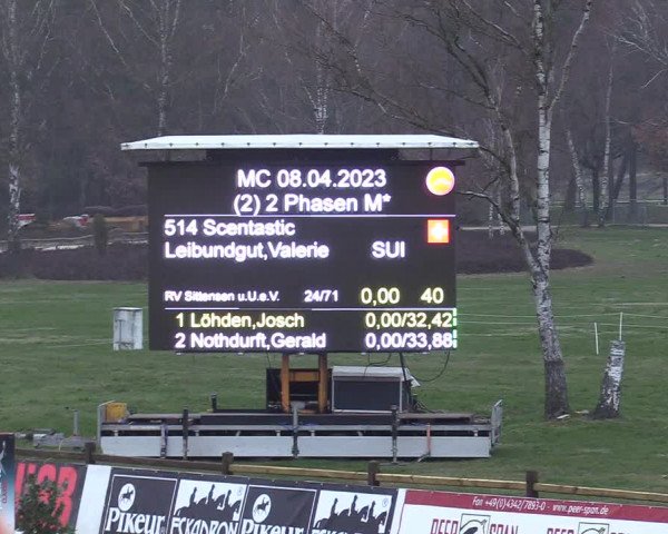 Reitturnier Westergellersen 2023