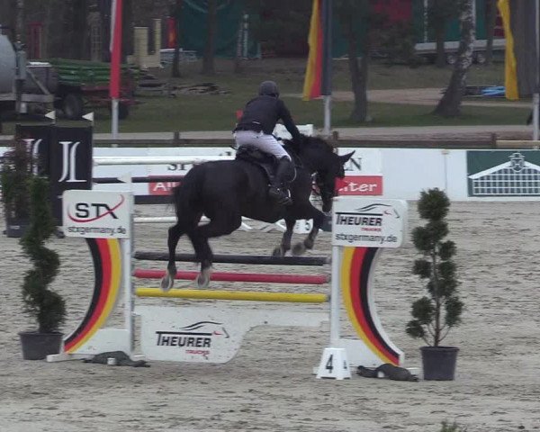 Reitturnier Westergellersen 2023