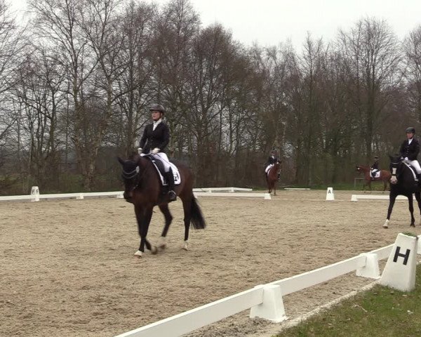 Reitturnier Elmlohe 2023